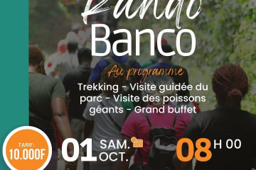 RANDO BANCO